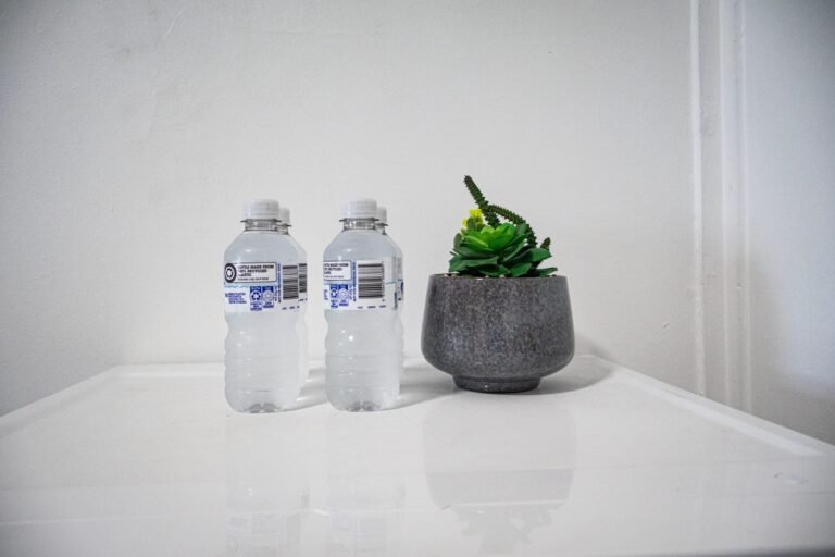Complimentary water bottles and succulent plant on counter at the Mernda clinic
