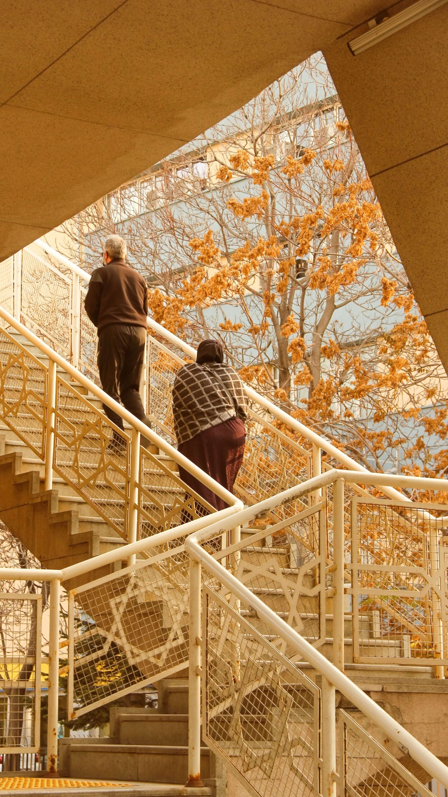 Knee Osteoarthritis: Stay Active & Delay Surgery 6 Older adult climbing stairs more comfortably after building knee strength.